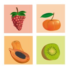 Fruits N32