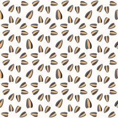 Seamless pattern with sunflower seeds