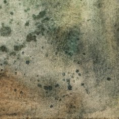 Dark grungy spotted background N6