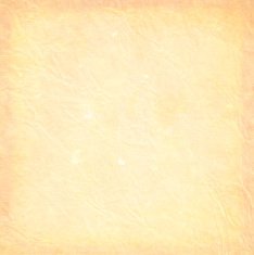 Grunge vector background N51