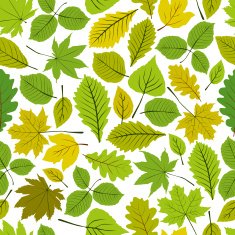Beautiful leaves seamless pattern vector natural background N3