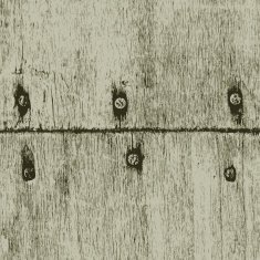 Old wood texture with nails