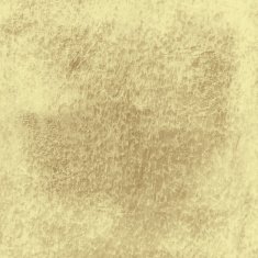 Tan Leather Texture