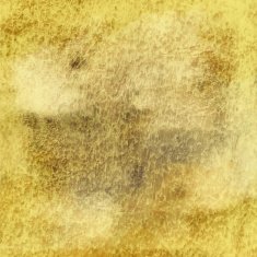 Shades of Tan Leather Texture