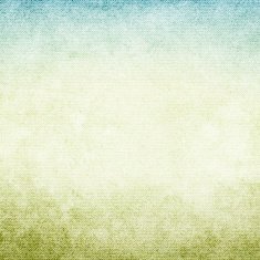 Blank grunge canvas background N4