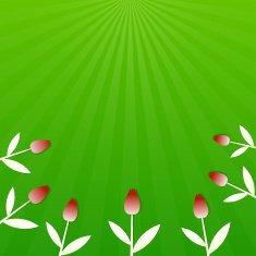 Green summer background with red tulips N2