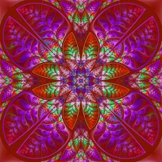 Multicolor symmetric pattern of the leaves N3