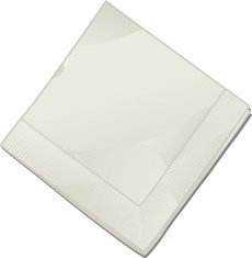 Paper napkin N2