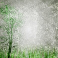 Grunge nature texture N2