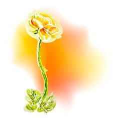 Flower yellow background watercolor N2