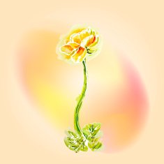 Flower frame background watercolor
