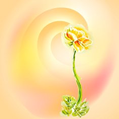 Flower yellow background watercolor N3