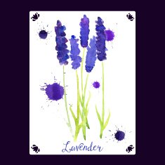Vector greeting card with watercolor lavender N3