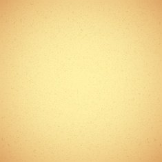 Vintage Paper Texture N5