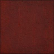 Grunge vector background N52