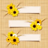 Vector banners with sunflowers and ears of wheat Eps-8