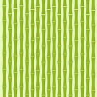 Green Bamboo Tree Background Flat Vector