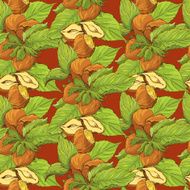 Seamless pattern with highly detailed handdrawn hazelnuts on brown background