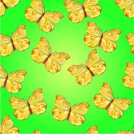 Seamless texture butterfly Gonepteryx rhamni vector