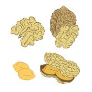 Peanuts and walnuts