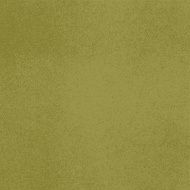 Vector canvas Yellow-green color