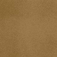 Vector canvas Light brown color
