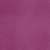 Vector canvas Light purple