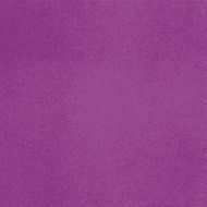 Vector canvas purple color