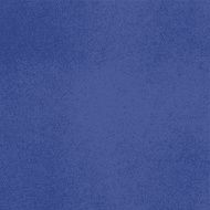 Vector canvas blue color