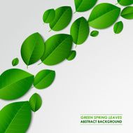 Abstract green spring leaves background