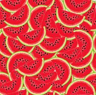 Watermelon Pattern N13