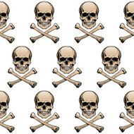 Colored skulls background