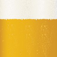 Beer Texture N2
