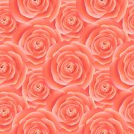 Rose seamless pattern Vector background N4
