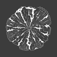 Tree-rings Vector graphics Chalkboard