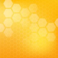 Honey pattern vector illustration N3