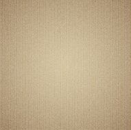 Vector cardboard texture background Eps 10