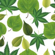 leaves background N16