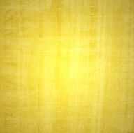 Grunge Background N161