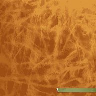 Brown leather cover book background