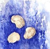 Vector watercolor Shells