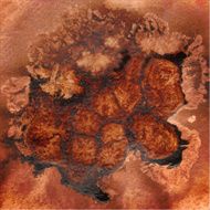 Grunge Background N166