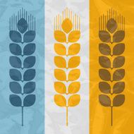 Wheat N36