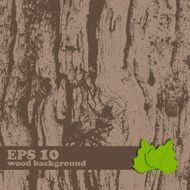 Vector grunge wooden texture N2