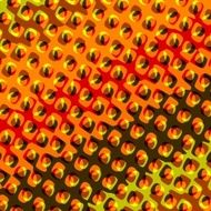 Abstract Orange Background for Design Artworks Perforated Pattern Texture Surface