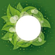 Background of leaves