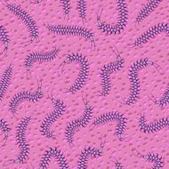 seamless crawling centipede background