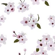 Almond flower pattern