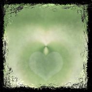 Green grunge background Abstract vintage texture with frame and N14