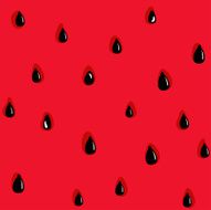 Watermelon Pattern N14